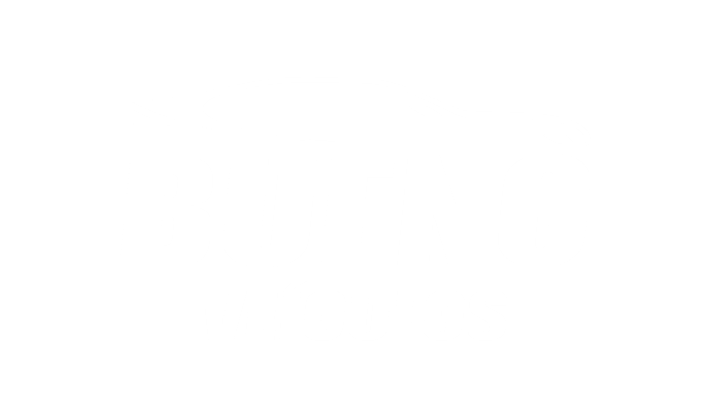 logo-footer